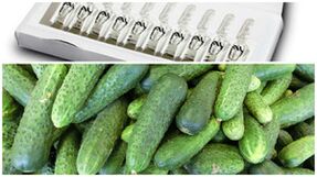 recepten voor maskers voor handhuidverjonging